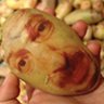 flaxe