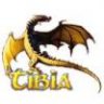 igorbr