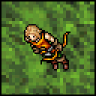 Invisible Elf
