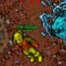 xavin