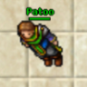 Patoo