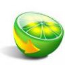 Lime88
