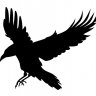 vejin