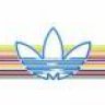 GM On Zweed