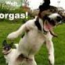 felipedorgas