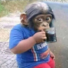 monomalo