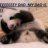Bogarts Panda