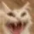 LinusB