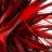 CM Red