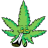 Skuniasz
