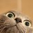 MrDude