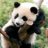 Lazy Panda
