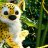 4Marsupilami