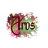 Aros