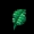 Tibia Leaves