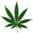 StonerX