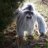 PetersonYeti