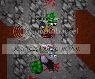 pkin.jpg