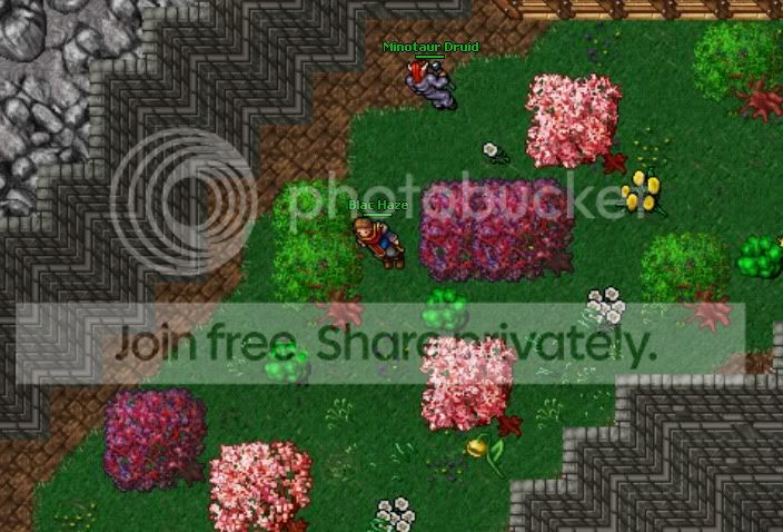 ot3.jpg