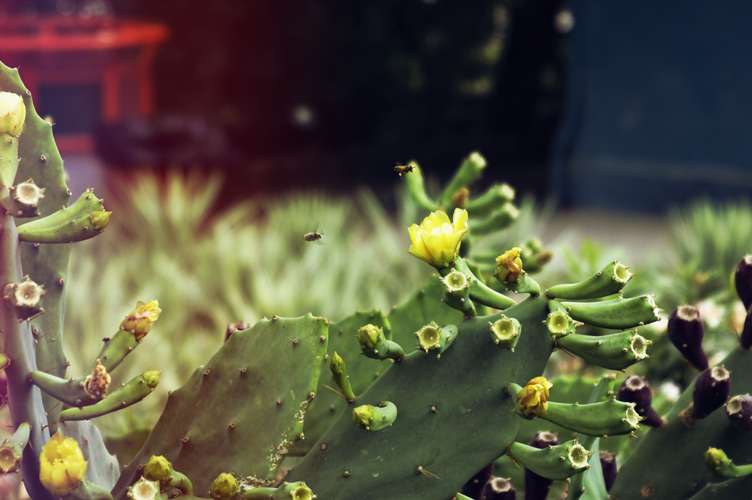 random_photo__10_by_darkressxx-d62w08t.png