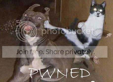 pwned-funny2.jpg
