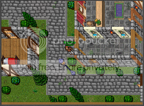 T5.png