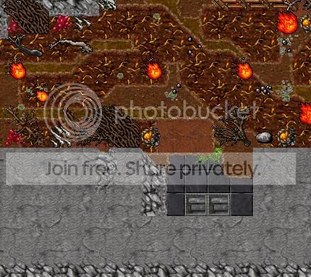 ss5.jpg