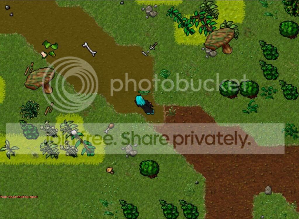 repigerabild15.jpg