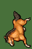 horse6f.gif