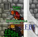 TURTLE.jpg