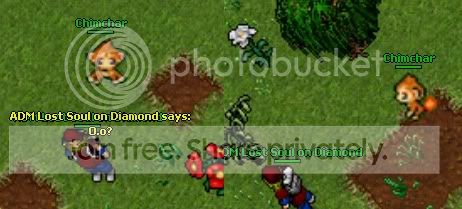 4-1.jpg