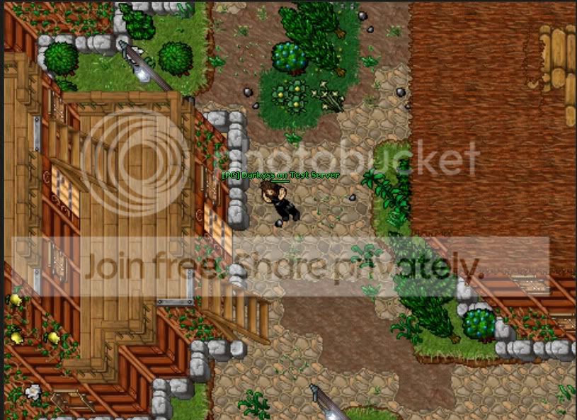f2.jpg