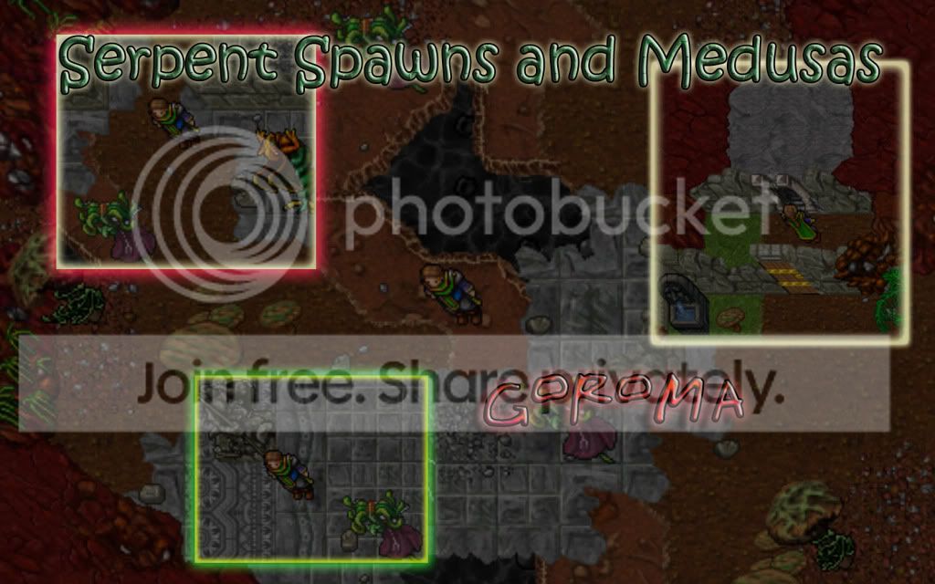 zapowiedz-medusy_goroma.jpg