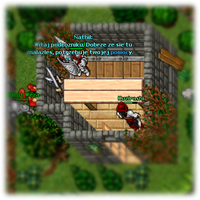 15.png