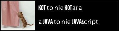 kot-kotara.jpg