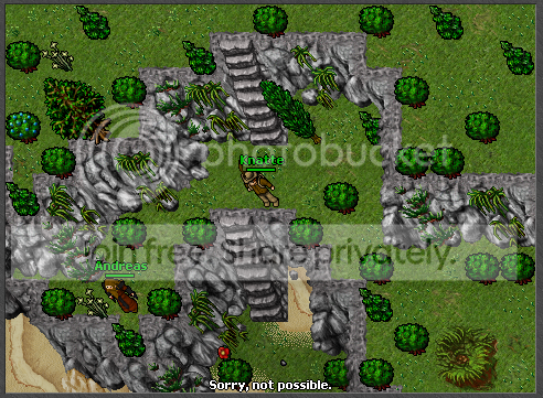 ingame8.png