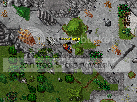 ss27.png