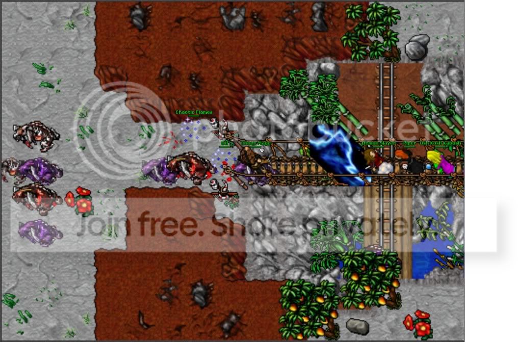 sdggdsf.jpg