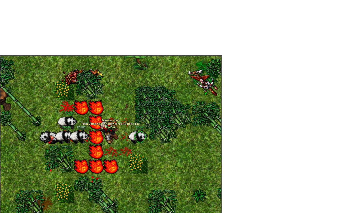 w0OQNx5.jpg