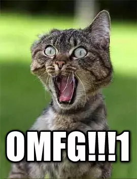 OMFG-Kitten.jpg