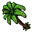 Coconut_Palm.gif