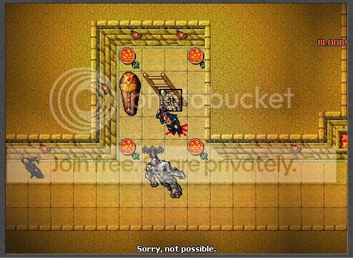 53.png
