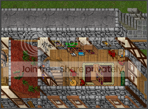 T3.png