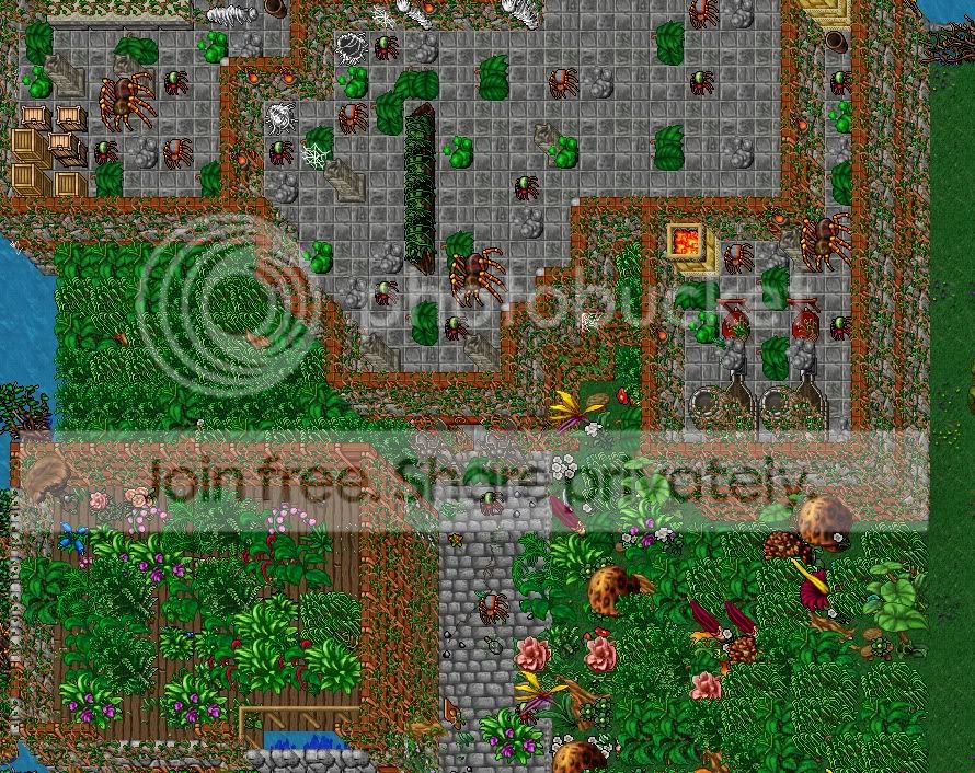 jungle.jpg