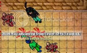 mage43.jpg