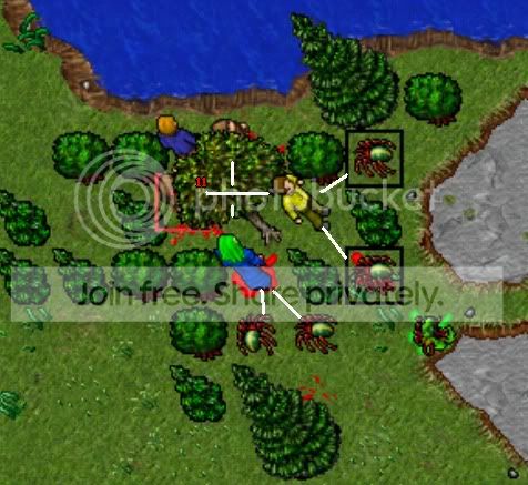 Bootcamp.jpg
