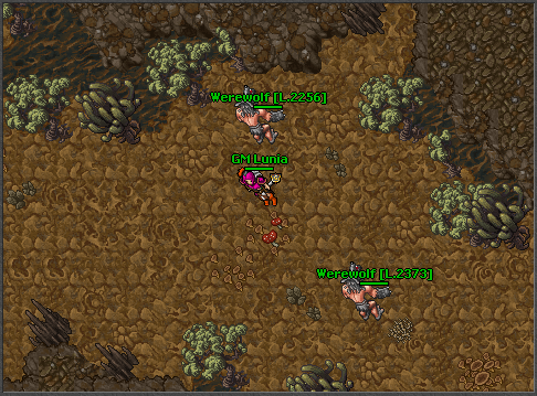 ZffUYPc.png