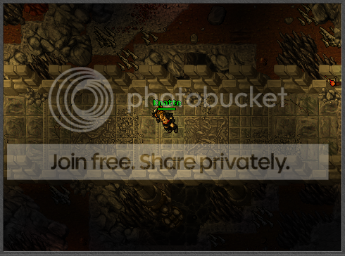 Ingame01.png