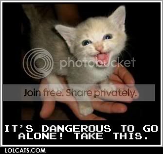 DangerousKitten.jpg