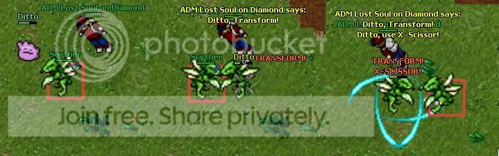 ditto-2.jpg